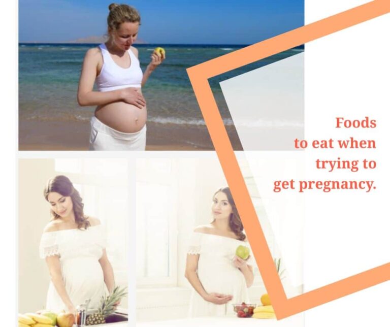 What Are the Best Foods to Eat When Trying to Get Pregnant?