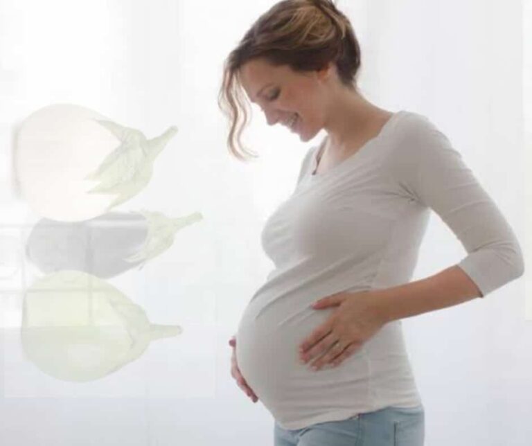 8 Health Benefits of Garden Egg leaves during pregnancy