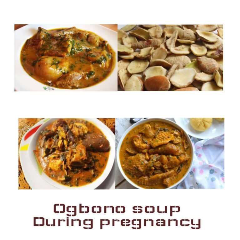 Eating Ogbono Soup During Pregnancy: The Health Benefits And Side Effects You Should Know.