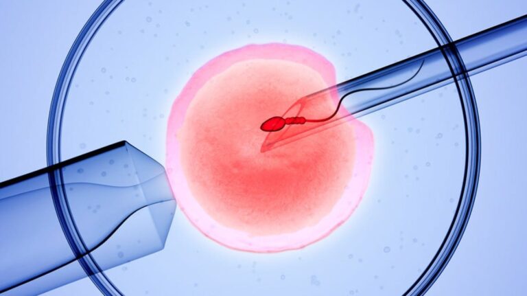 What You Need to Know About In Vitro Fertilization (IVF) Process